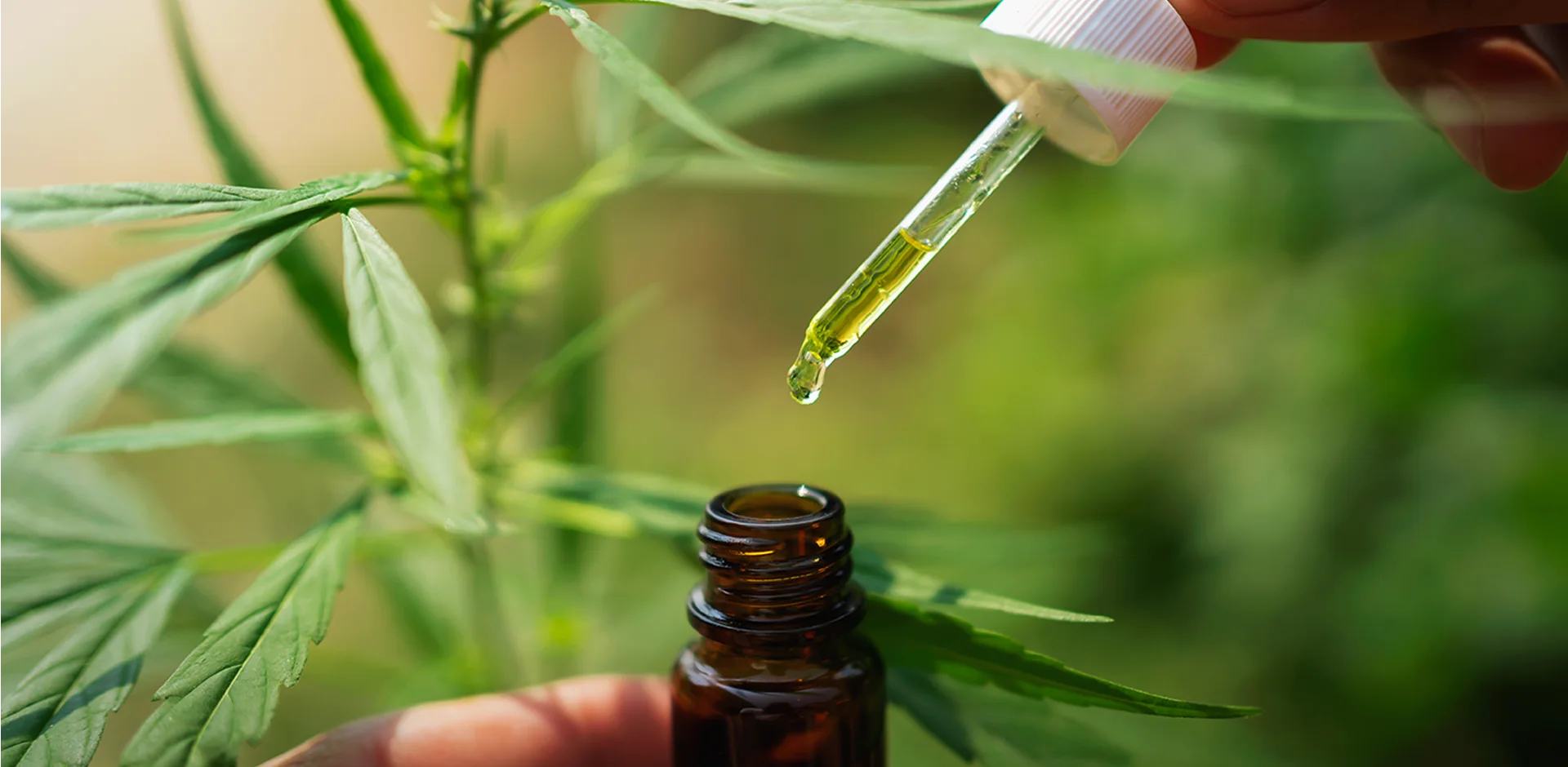 Was ist CBD und wie wirkt es im Körper?