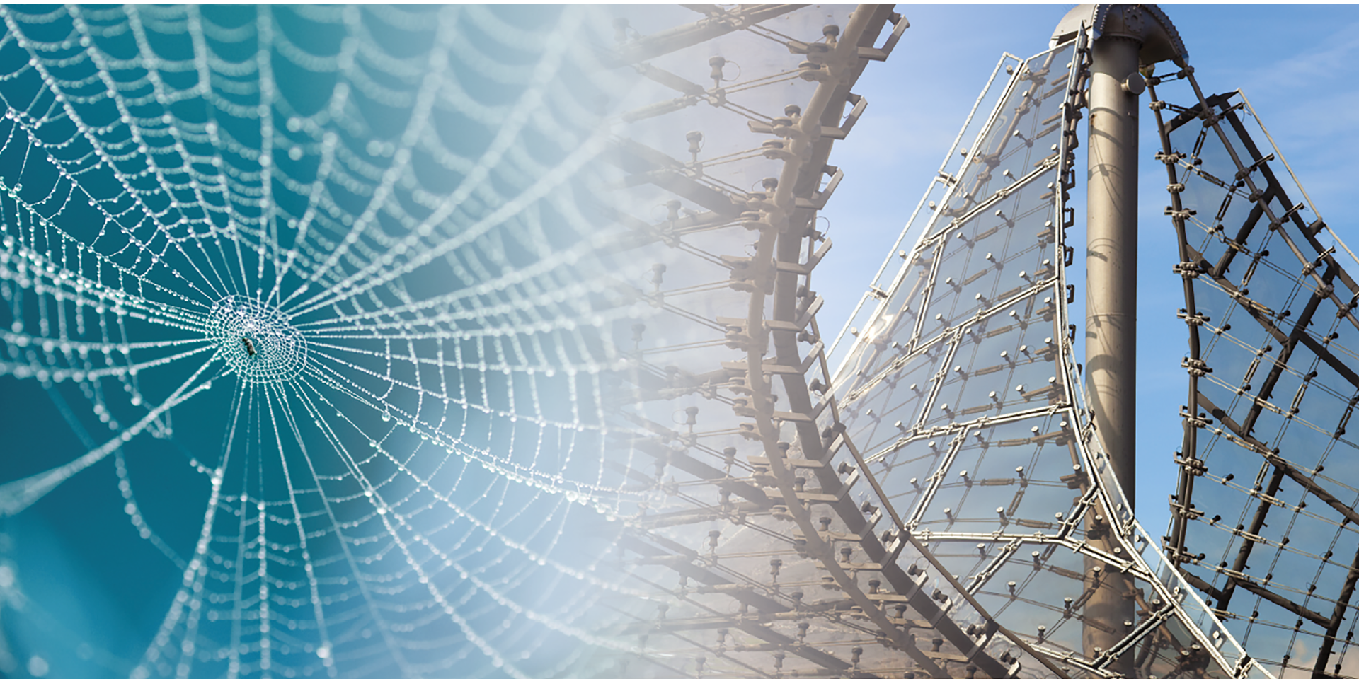 Bionik - Die Natur als Vorbild