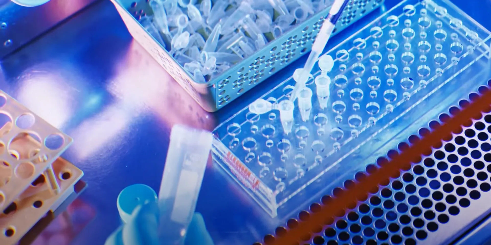 A scientist in a laboratory handles a pipette