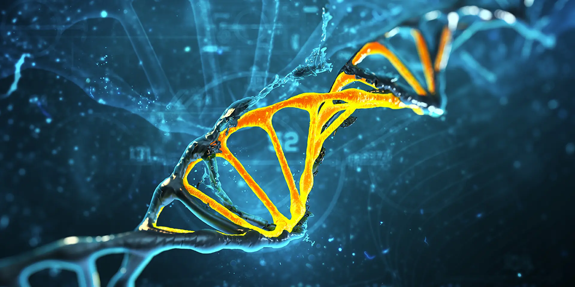 Erhöhte Erbgutschäden  ein zerbrochener DNA-Strang