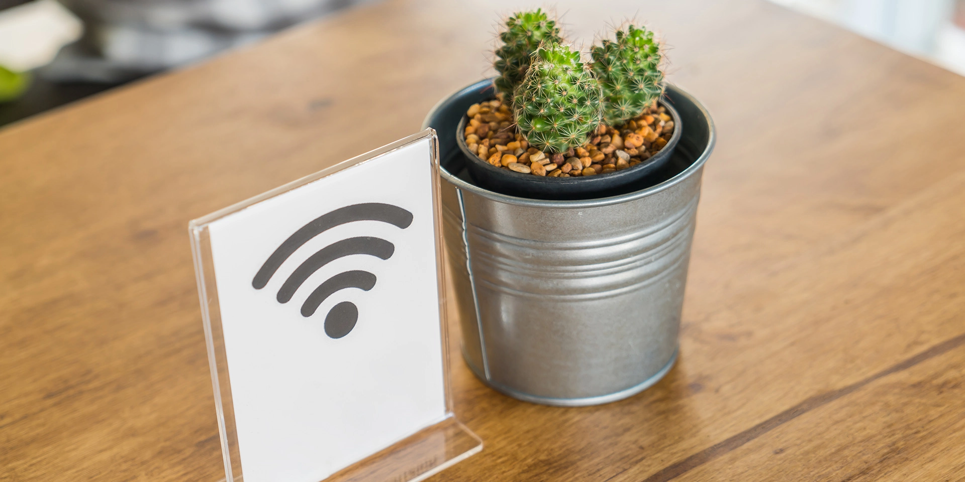 Kaktus steht auf Tisch neben WLAN Zeichen
