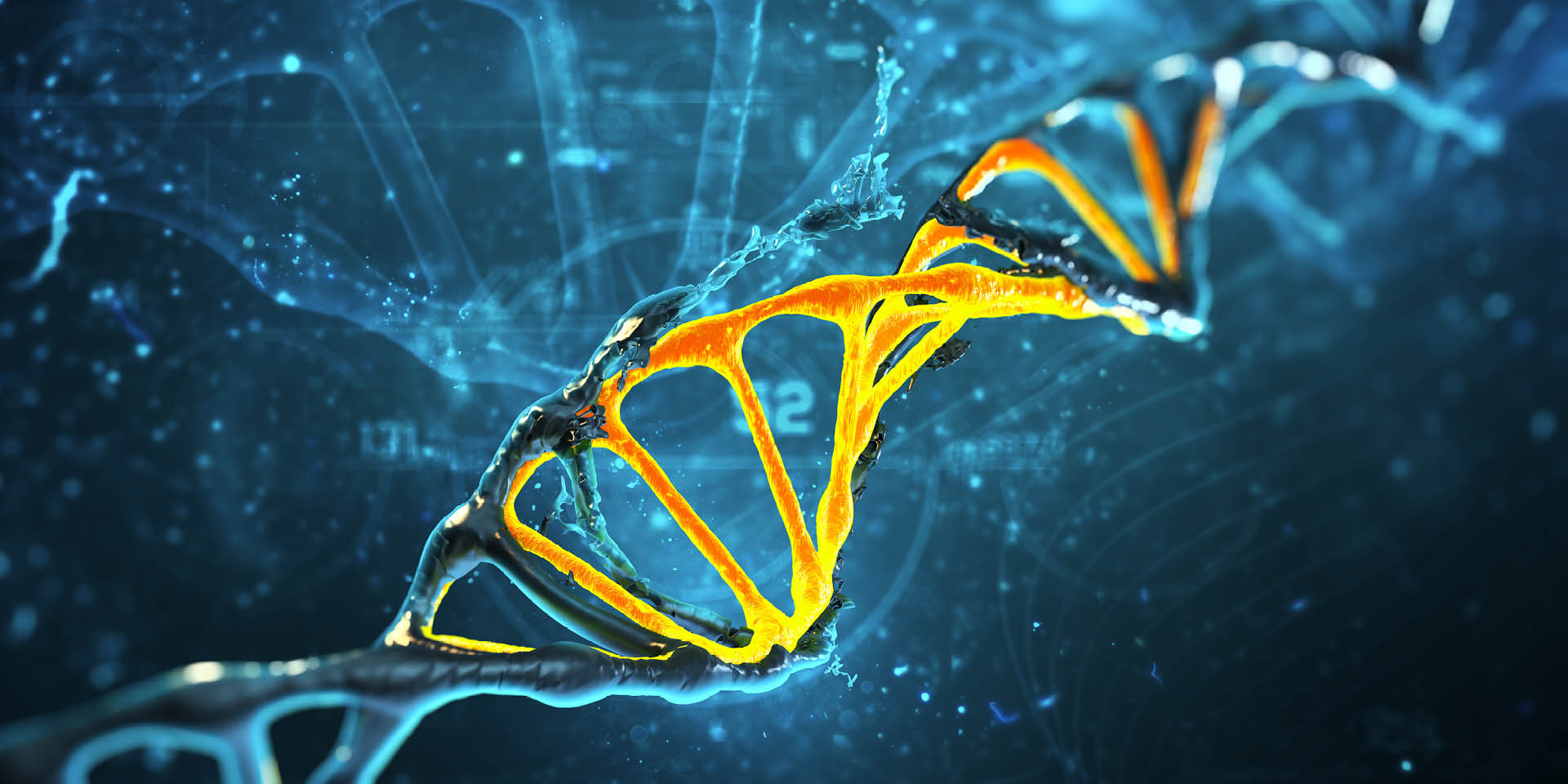 DNA