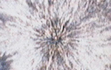 memon eau naturelle Micrographie de la structure de l'eau naturelle memon selon Bernd Bruns