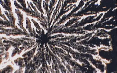 Structure de l'eau de source Micrographie de la structure d'une eau du robinet selon Bernd Bruns